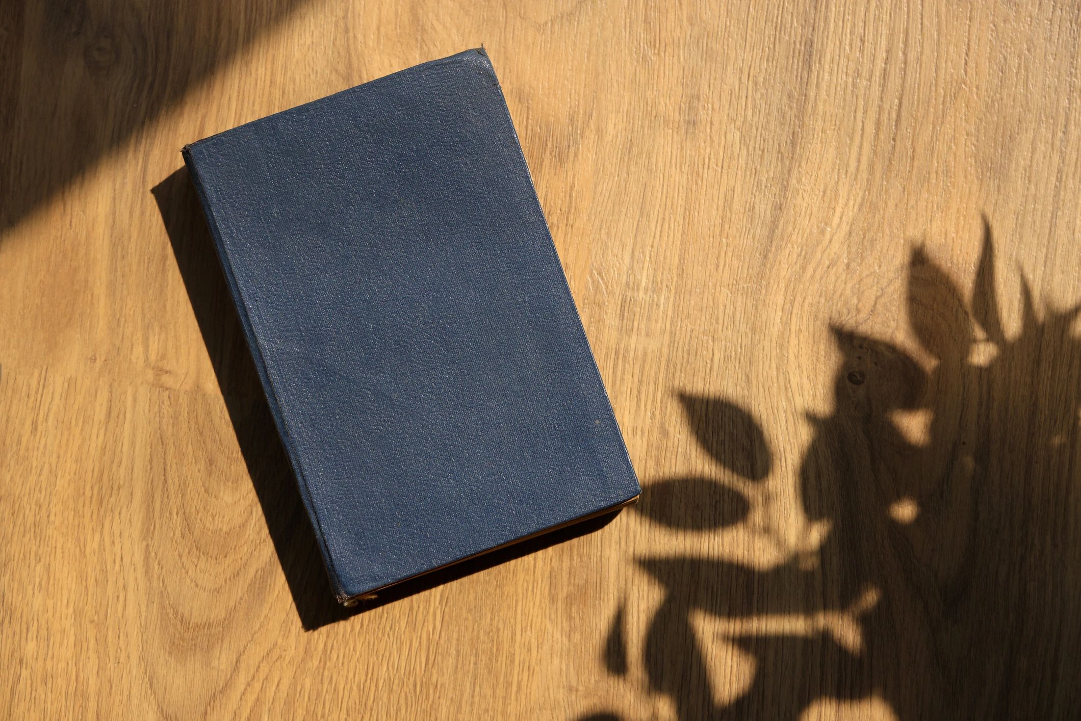 Blue hardcover book on a wooden surface